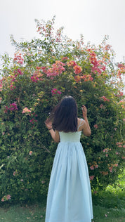 ELARA MAXI DRESS