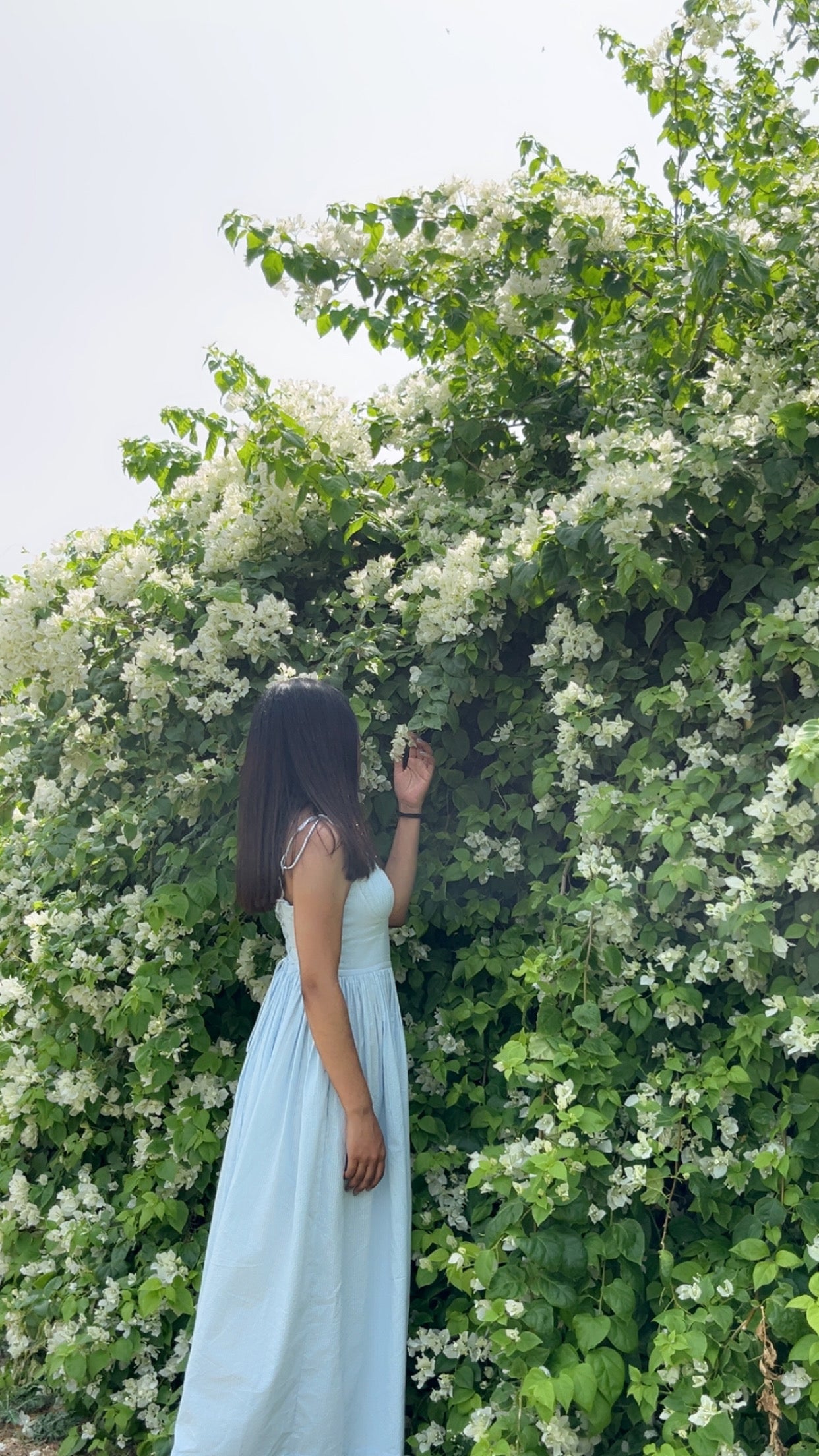 ELARA MAXI DRESS